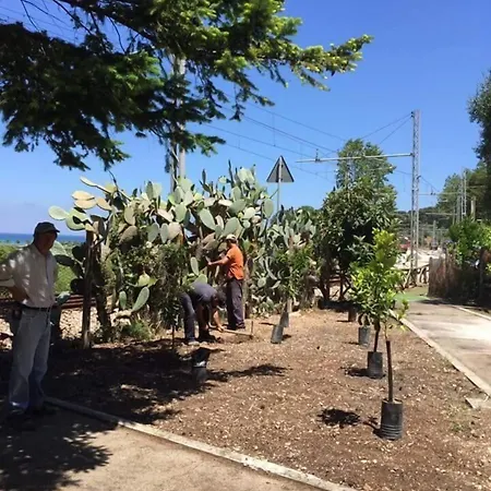 Alojamento de Acomodação e Pequeno-almoço Le Del Parco 3*