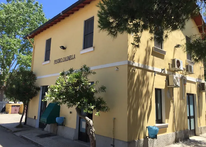 Le Del Parco פסקיצ'י