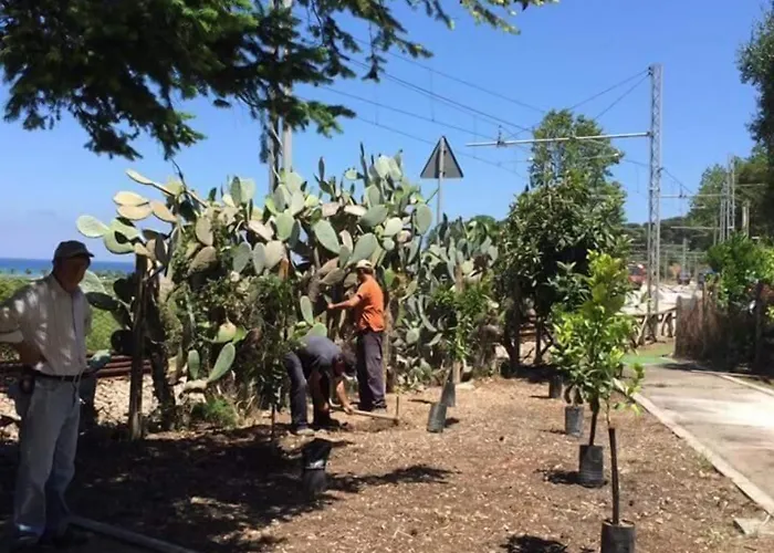 לינה וארוחת בוקר Le Del Parco 3*